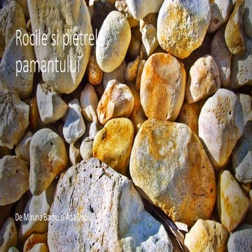 rocile.pptx
