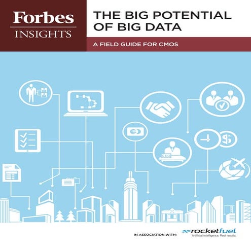 Rocket Fuel Big Data Report