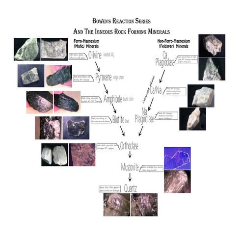 Rockmertgrfertfewerwtewwqrwterwterwewrin.pdf
