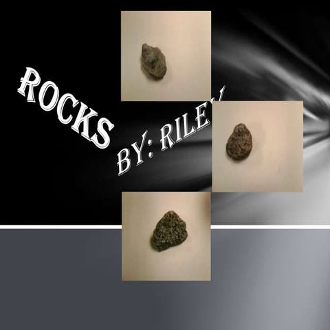 My Pet Rock | DOCX