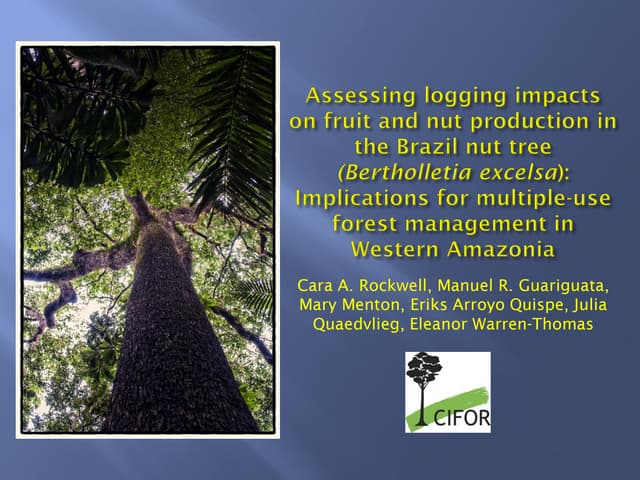thumbnail of  Assessing logging impacts on fruit and nut production in the Brazil nut tree (Bertholletia excelsa): Implications for multiple-use forest management in Western Amazonia