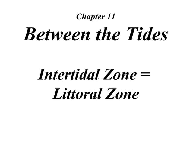 Rocky Shore Notes
