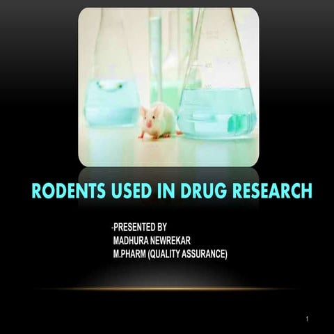 Rodents used in Drug Research