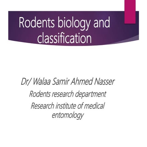 Rodents biology and classification