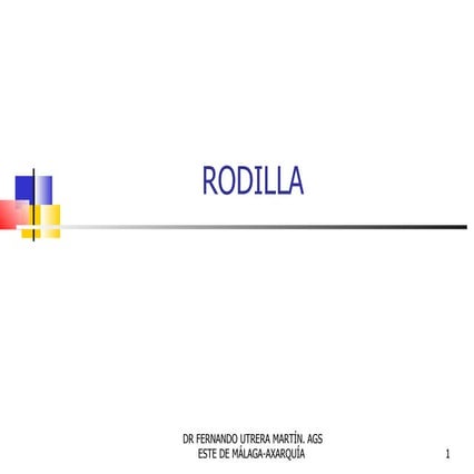 Rodilla