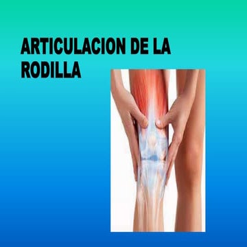 RODILLA anatomia y biomecanica de la rodilla | PPTX