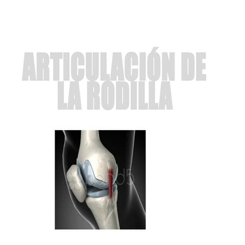 semiologia de la rodilla y anatomia aplicada | PPTX