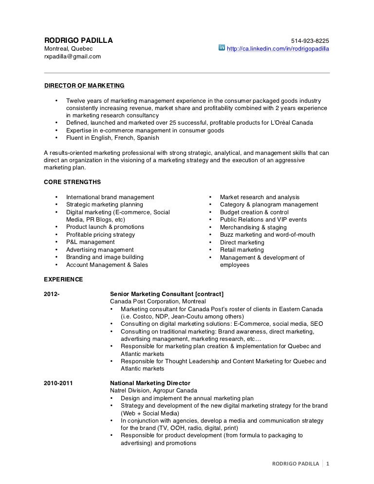 television director resume