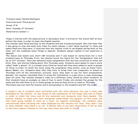 Rodrigues - Practicum journal - Secondary level