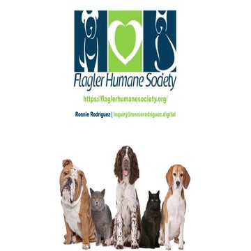 Social Media Marketing Campaign