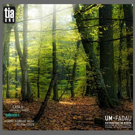 Rodriguez serqueira   casa h