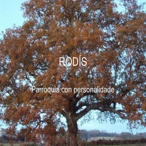 RODÍS