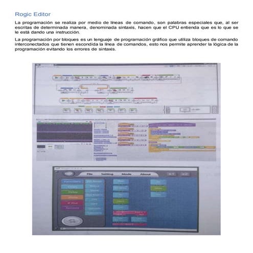 Rogic Editor.docx