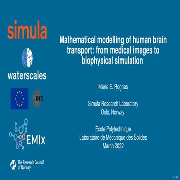 Mathematical modelling of human brain transport: from medical images to biophysical simulation