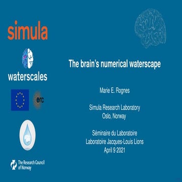 The numerical foundations of the brain's waterscape