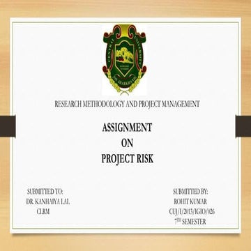 Project Risk