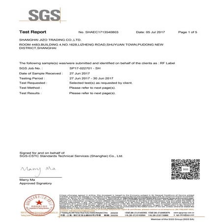 Zinc alloy-SGS Report.PDF