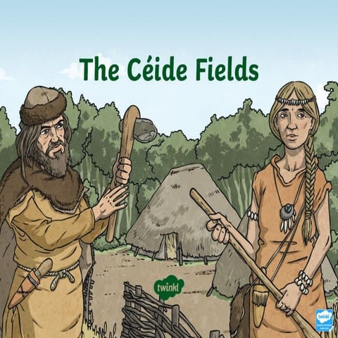 roi2-h-40033-the-ceide-fields-powerpoint_ver_2.ppt
