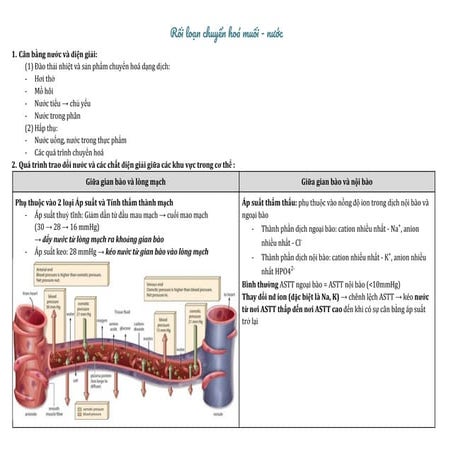 Rối loạn chuyển hoá muối - nước.pdf