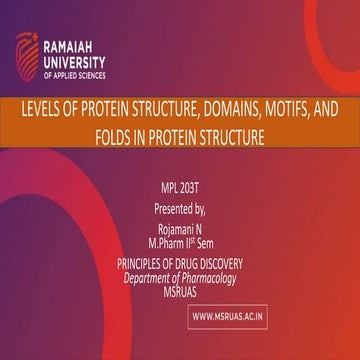 LEVELS OF PROTEIN STRUCTURE, DOMAINS, MOTIFS, AND FOLDS IN PROTEIN STRUCTURE