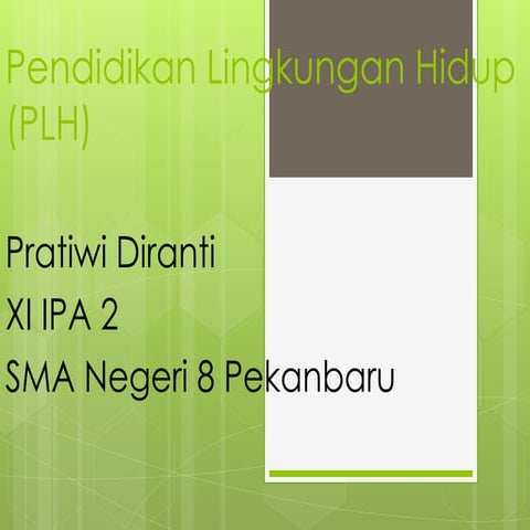 Rokok | PPTX