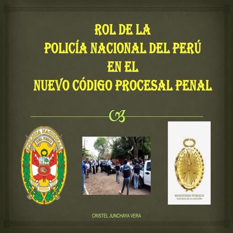 Rol de la pnp en el ncpp 1 | PDF
