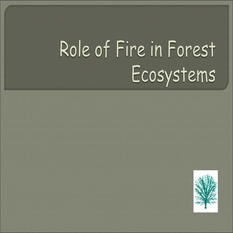 Role Of Fire In Forest Ecosystems