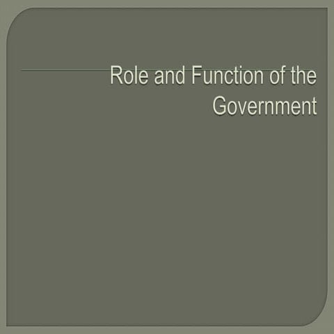 Role And Function Of The Government