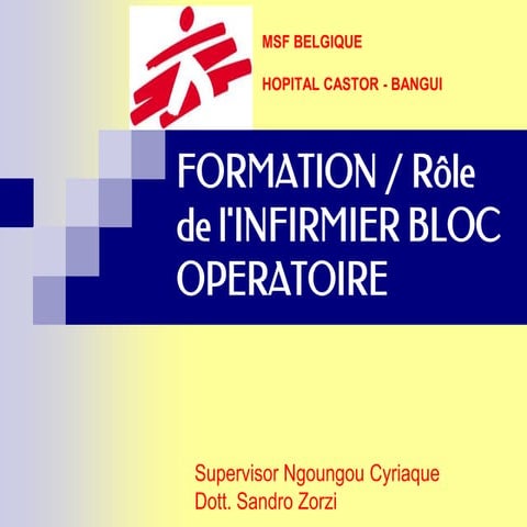 PLAN DE SOINS INFIRMIERS EXAMPLES en pratique (3).docx
