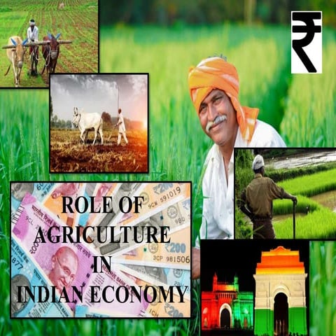 Role of agriculture in Indian economy | PPTX