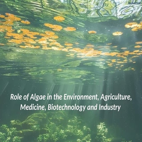 Role of Algae in the environment, economy, agriculture, medicine, Biotechnolo...