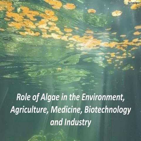 Role of Algae in the environment, agriculture, Medicine, Food,Neutraceutical ...