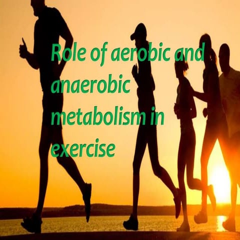 Role of anaerobic and anaerobic metabolism in exercise.