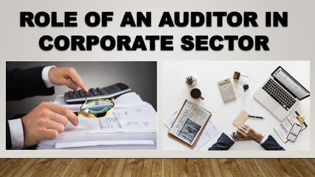 Role of an Auditor in Corporate Sector (PPT)