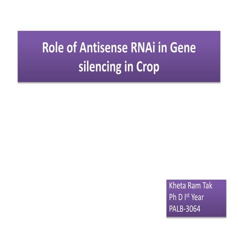 Role of antisense RNAi in gene silencing in crop