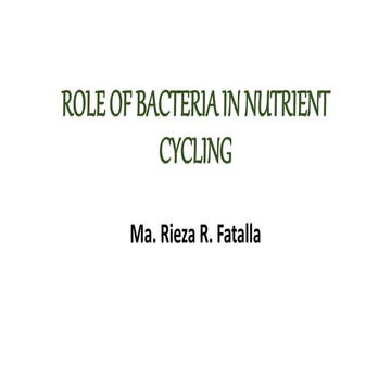 ROLE OF BACTERIA IN NUTRIENT CYCLING.pptx