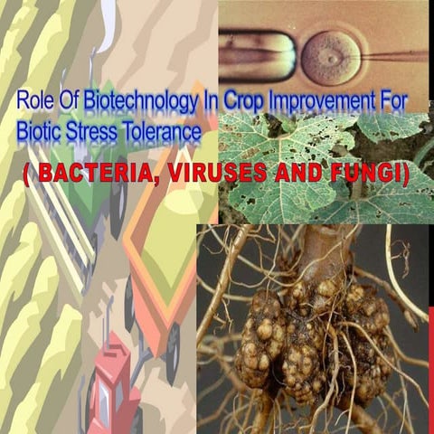 Role Of Biotechnology In Crop Improvement.pptx