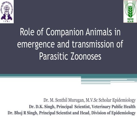 Role of companion animals in emergence and transmission of Parasitic ...