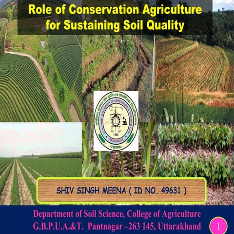 Role of conservation agriculture in sustaining soil quality
