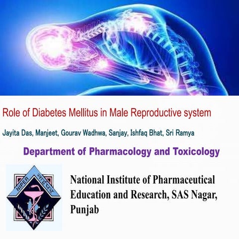 Role of diabetes mellitus in male reproductive system