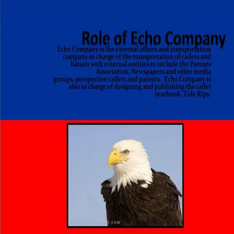 Role Of Echo Company