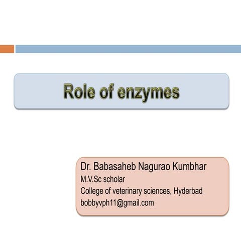 Role of enzymes in dairy industries