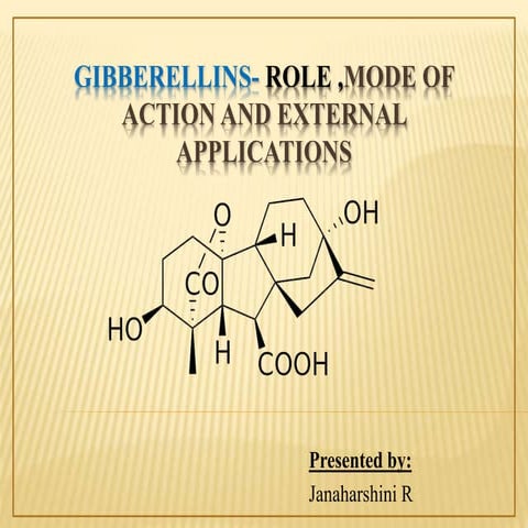 Role of Gibberellins, mode of action and external applications.pptx