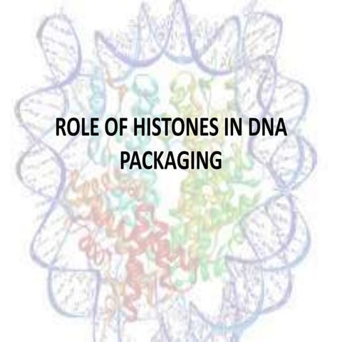 Role of Histone in DNA packaging