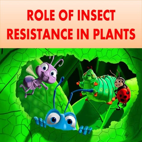 Role of insect resistance in plants