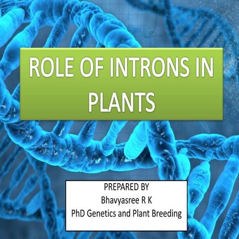 Role of introns in plants