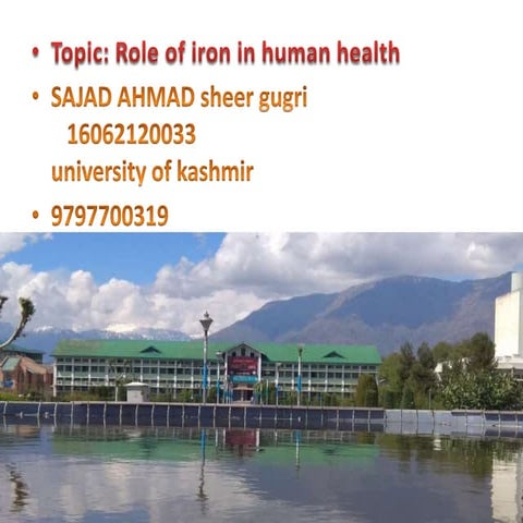 Role of iron