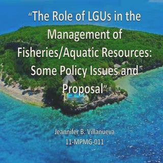 Role of lgu's in the management of ...