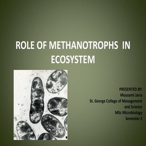 Role of methanotrophs in ecosystem