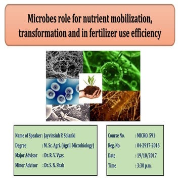Role of microbes in nutrient mobilization, transformation in fertilizer use effic